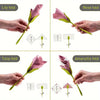 3+3 Free | BloomAura™ – Instantly Transform Your Table into a Stunning Floral Masterpiece