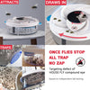 BuzzFree™ – Ensures peaceful environments by eliminating flies quietly