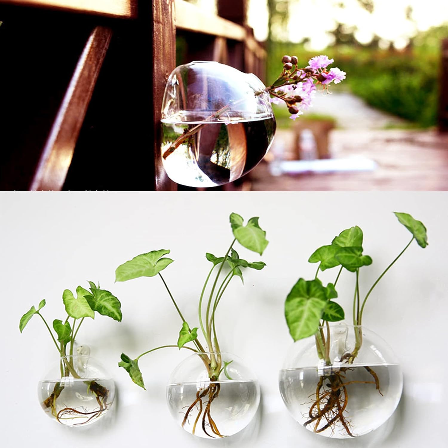 1+1 FREE | Globeo™ Glass Oval Globe Plant Container Wall-Mounted Clear Flower Vase