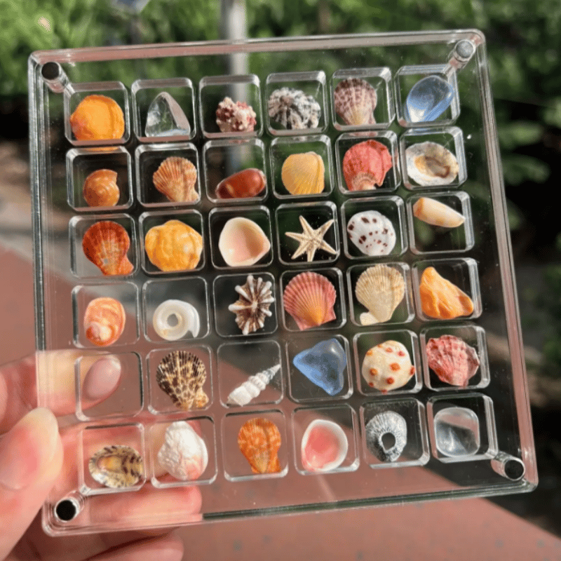 ShellGlo™ - Acrylic Magnet Shell Storage Box