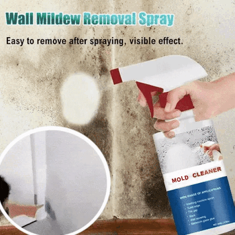 1+1 Free | AntiMold™ - Protect Yourself and Your Health Against Toxic Mold
