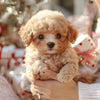 PupBot™ - Realistic Robot Puppy