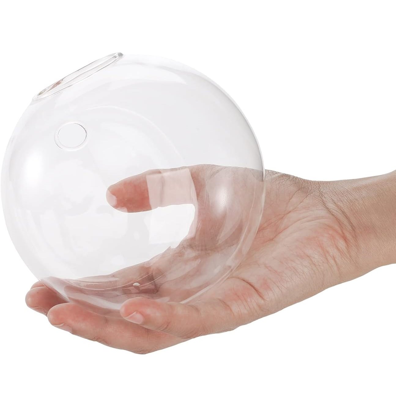 1+1 FREE | Globeo™ Glass Oval Globe Plant Container Wall-Mounted Clear Flower Vase