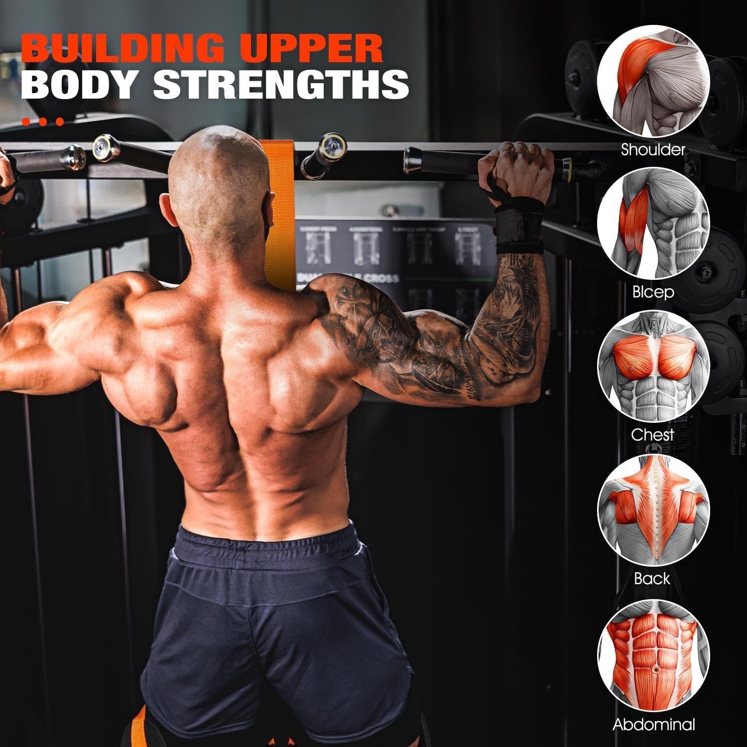 FlexForge™ Band for Assistance with Pull-Ups – Achieve Rock-Solid Strength and Unstoppable Confidence