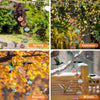 ChimeFeeder™ - Charming Wind Chime Hummingbird Feeder