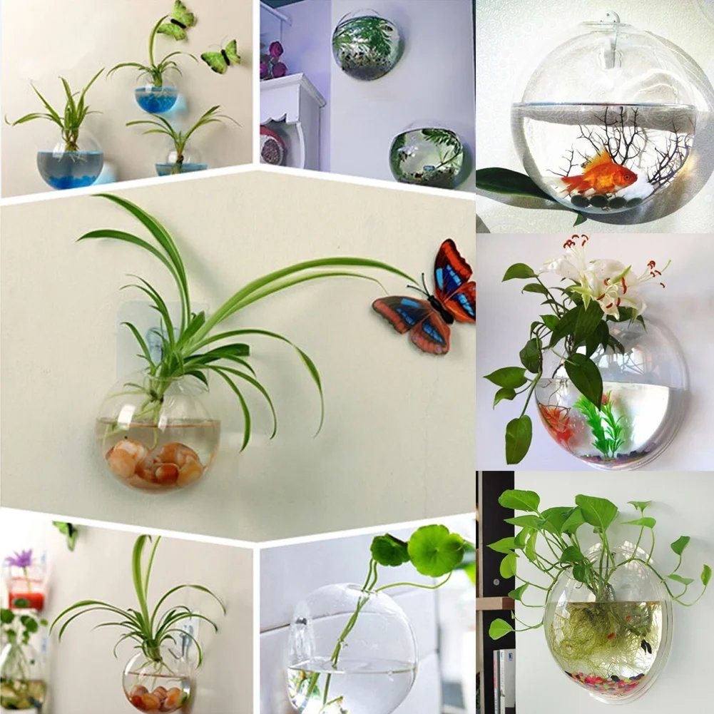 1+1 FREE | Globeo™ Glass Oval Globe Plant Container Wall-Mounted Clear Flower Vase