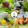 PlantShield™ (10 pieces) - Protection For Your Plants!