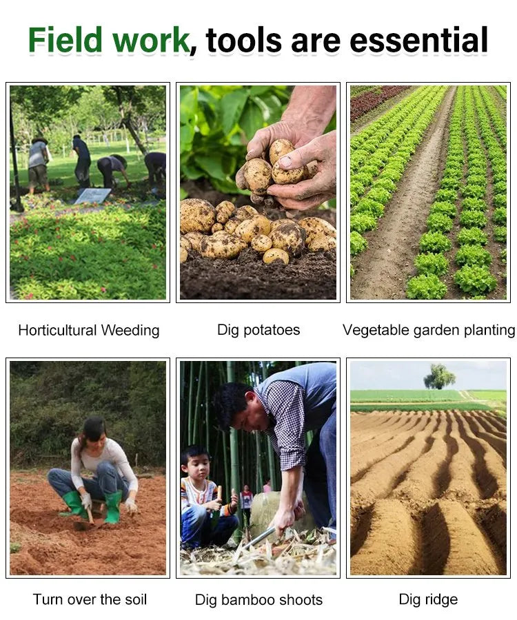 WeedMaster™ - The Ultimate Weed Killer