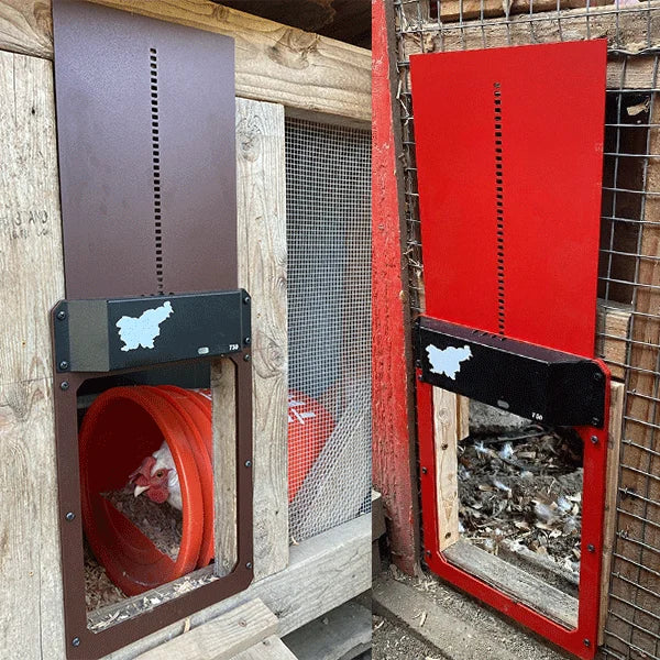 ChickGuard™ - Automatic Chicken Door