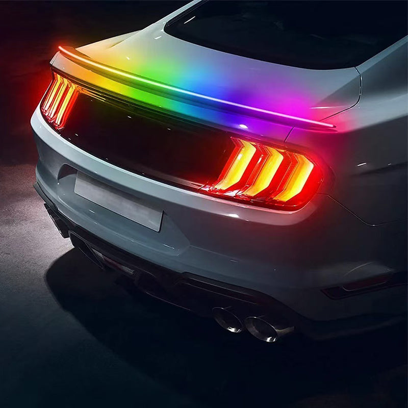 TailLight™ — Lead the way with bright, confident safety lighting