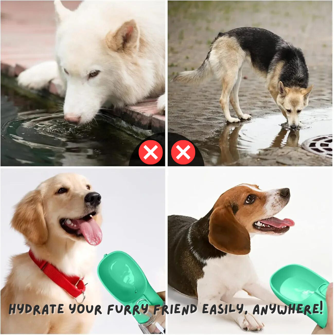 PetPal™ - Portable Dog Bowl With Water Bottle