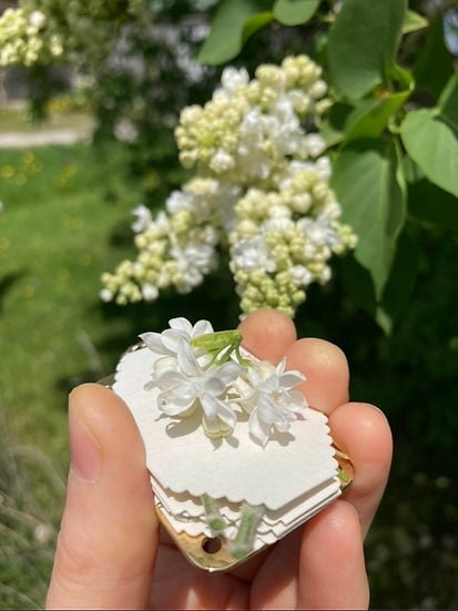 Bloomie™ - Mini Flower Press