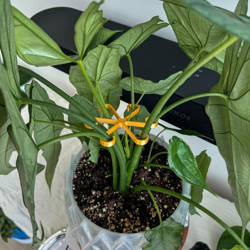 1+1 FREE | EcoGrowth™ Versatile Plant Support