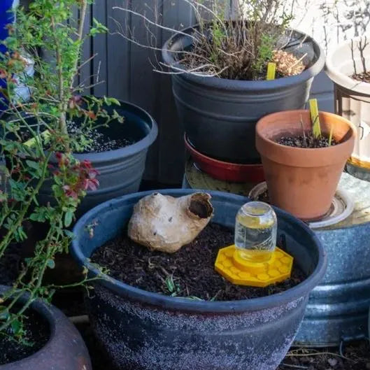 NectarNest™ — Lock bees, ignite life and colors in your garden