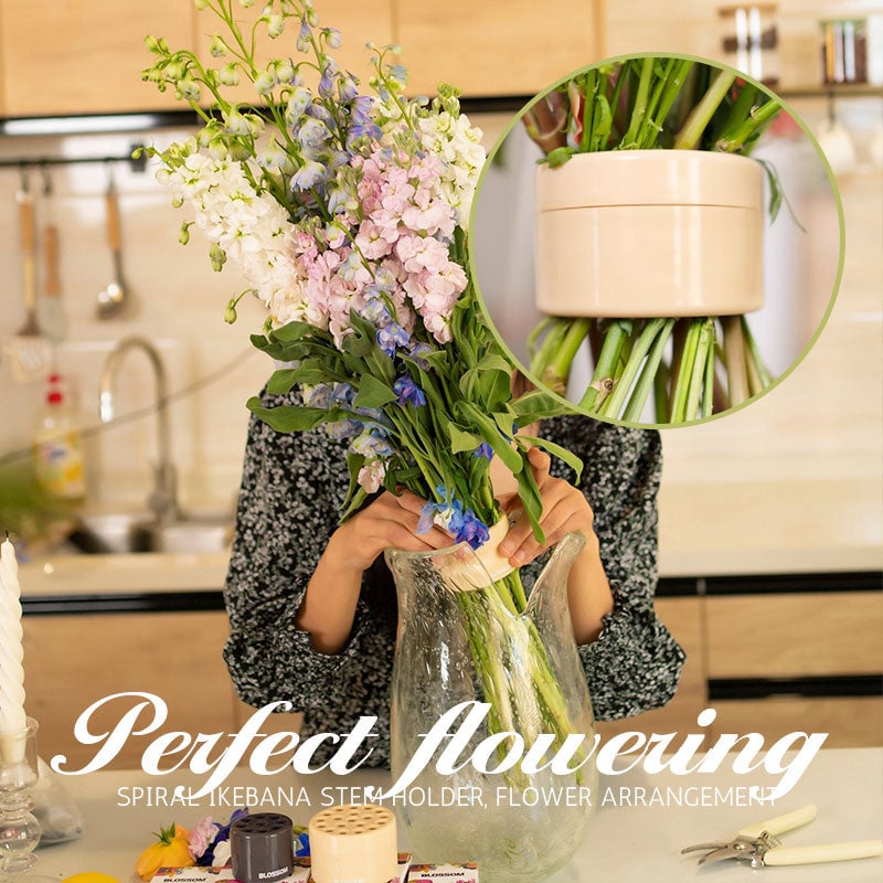 1+1 FREE | Bloomi™ Turn your flowers into breathtaking, long-lasting bouquets that catch every eye