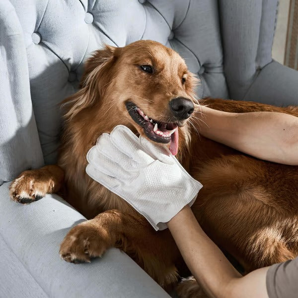 2+2 FREE | PawBreeze™ Grooming Gloves — Instant Pet Care Product for Happier, Cleaner Animals