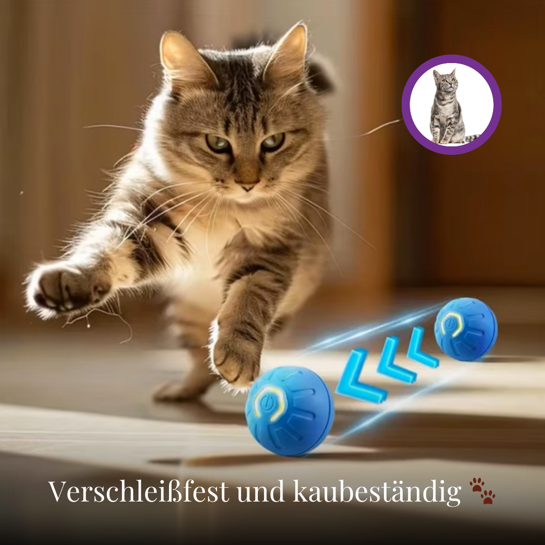1+1 FREE | PawsPlay™ Interactive Fun For Happy Dogs!