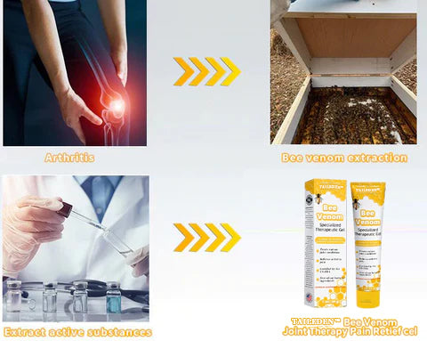 1+1 Free | TAILEDEN™ Bee Venom Joint Therapy Pain Gel – Relieve Pain and Regain Active Joy