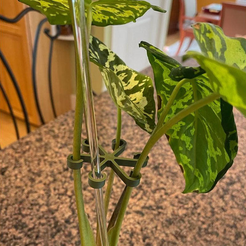 1+1 FREE | EcoGrowth™ Versatile Plant Support