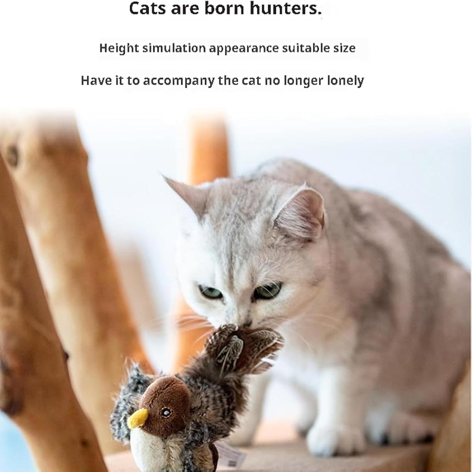 FlickerFeather™ – Ignite Your Cat's Wild Hunt And Pure Joy