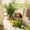 1+1 FREE | Bloomi™ Turn your flowers into breathtaking, long-lasting bouquets that catch every eye
