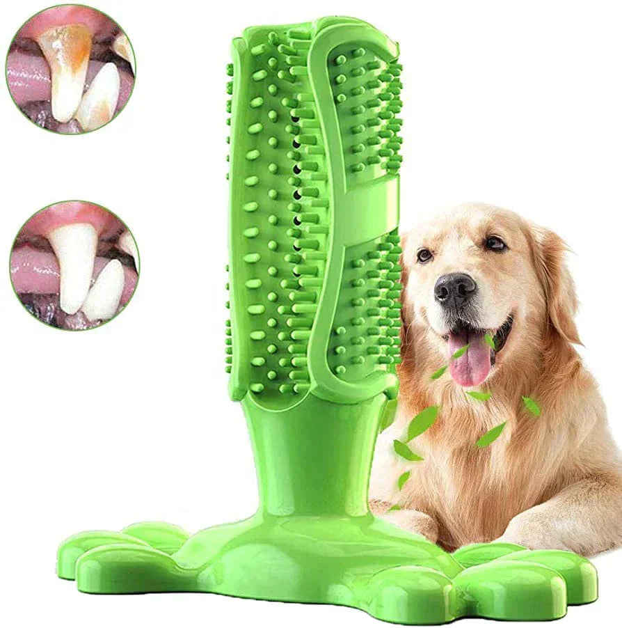 1+1 FREE | PawChew™ Dental Chew Toy