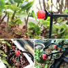 HydroFlex™ - Efficient Irrigation, Healthy Plants!