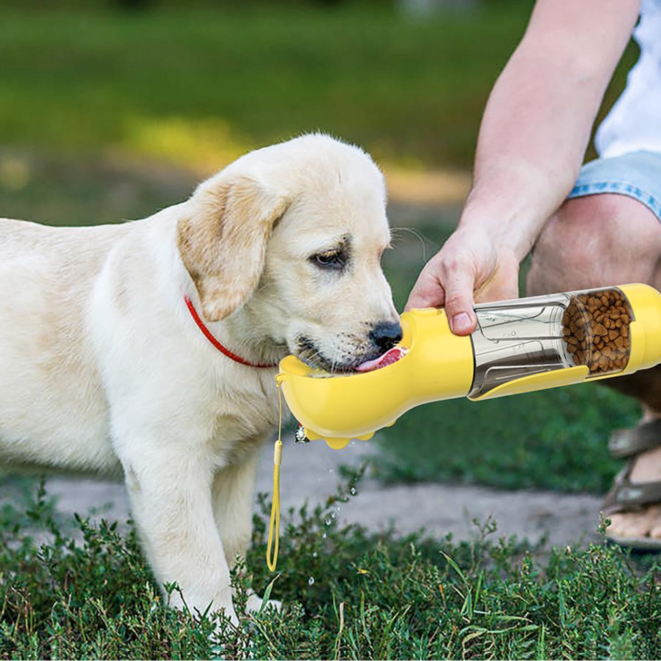 DogViva™ — Instant Hydration Freedom for Happy, Energetic Dogs
