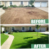 2+1 FREE | EcoLawn™ Simple, Green Lawn