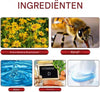 1+1 FREE | HoneyGlow™ Soothe Your Skin And Feel Beautiful Inside Out