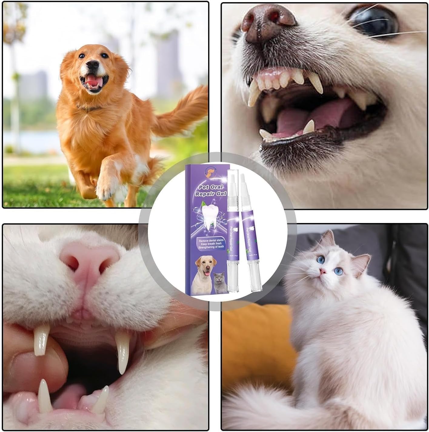 1+1 FREE | OralGlow™ - The ultimate solution for your pet's dental health and fresh breath!