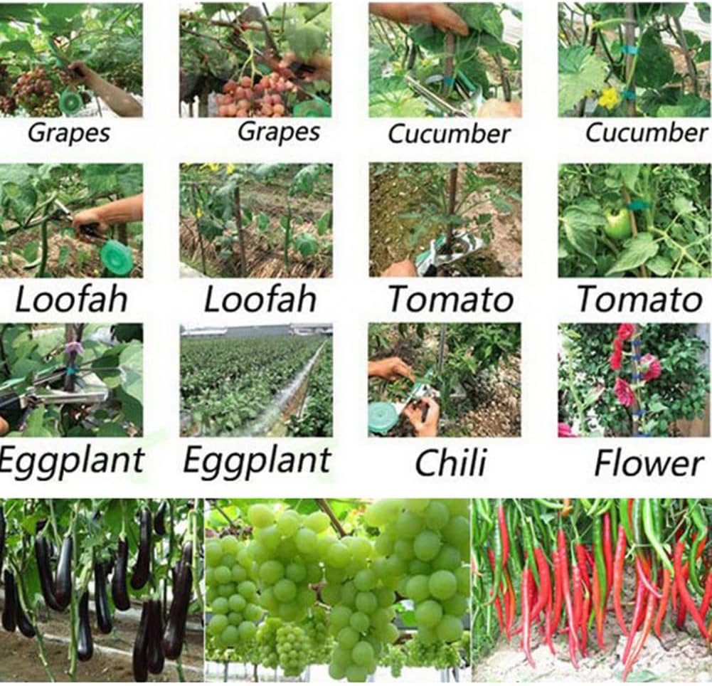 TieBot™ - Secure Your Plants!
