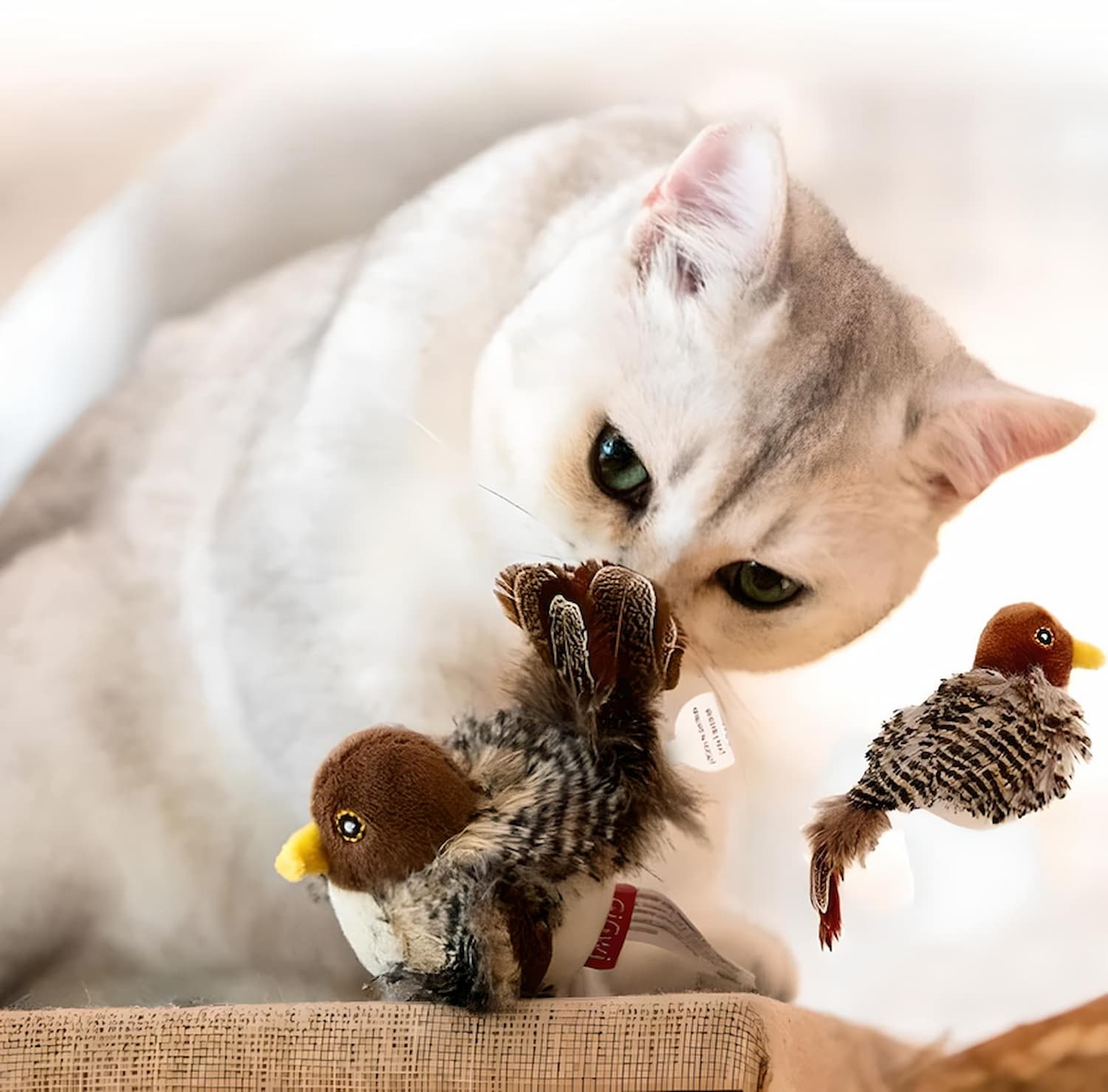 FlickerFeather™ – Ignite Your Cat's Wild Hunt And Pure Joy
