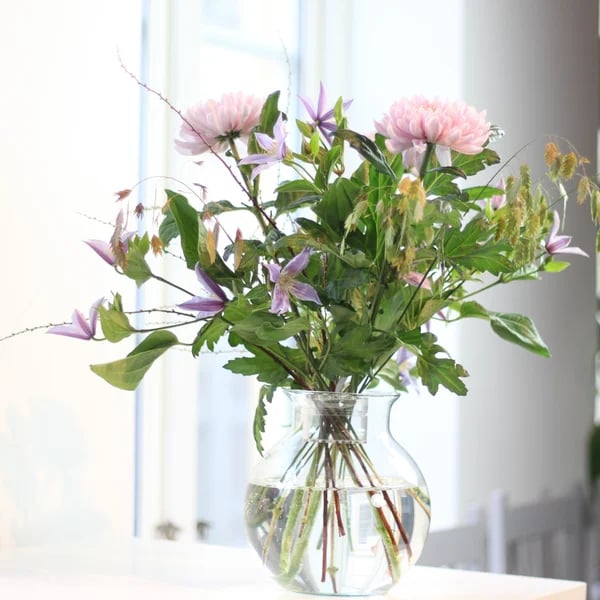 1+1 FREE | Bloomi™ Turn your flowers into breathtaking, long-lasting bouquets that catch every eye