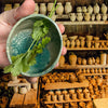 HerbEase™ - Provides a quick and clean way to strip herbs