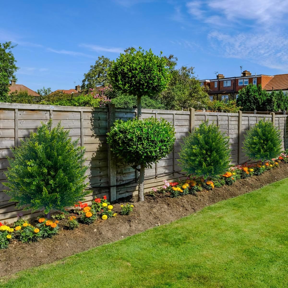 EvergreenVista™ – Low-Maintenance, Hassle-Free Greenery