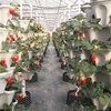 SkyGrow™ — Transform Tiny Spaces into Lush, Effortless Gardens