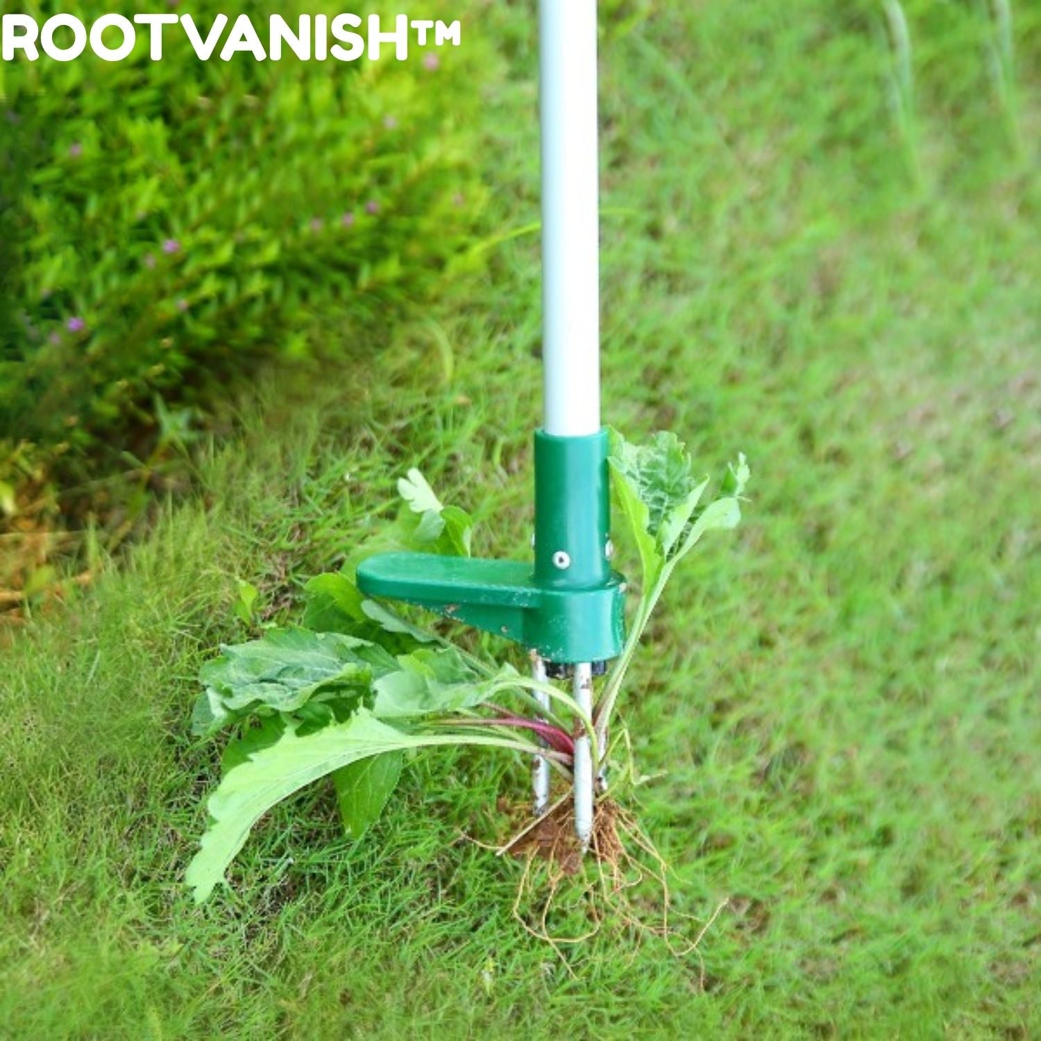 RootVanish™ - Standing Plant Root Remover