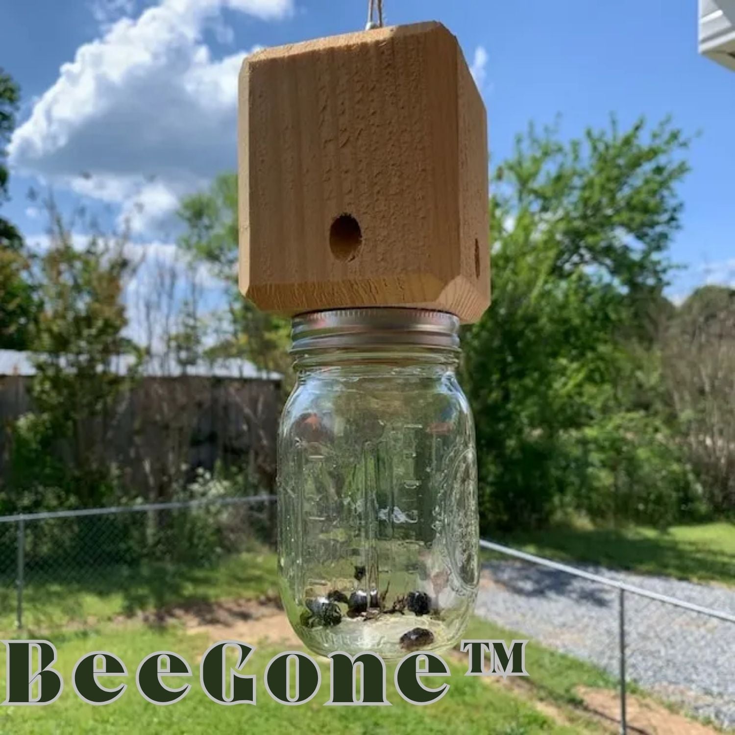 BeeGone™ - Defends your wooden structures, offering a reliable shield against carpenter bee damage