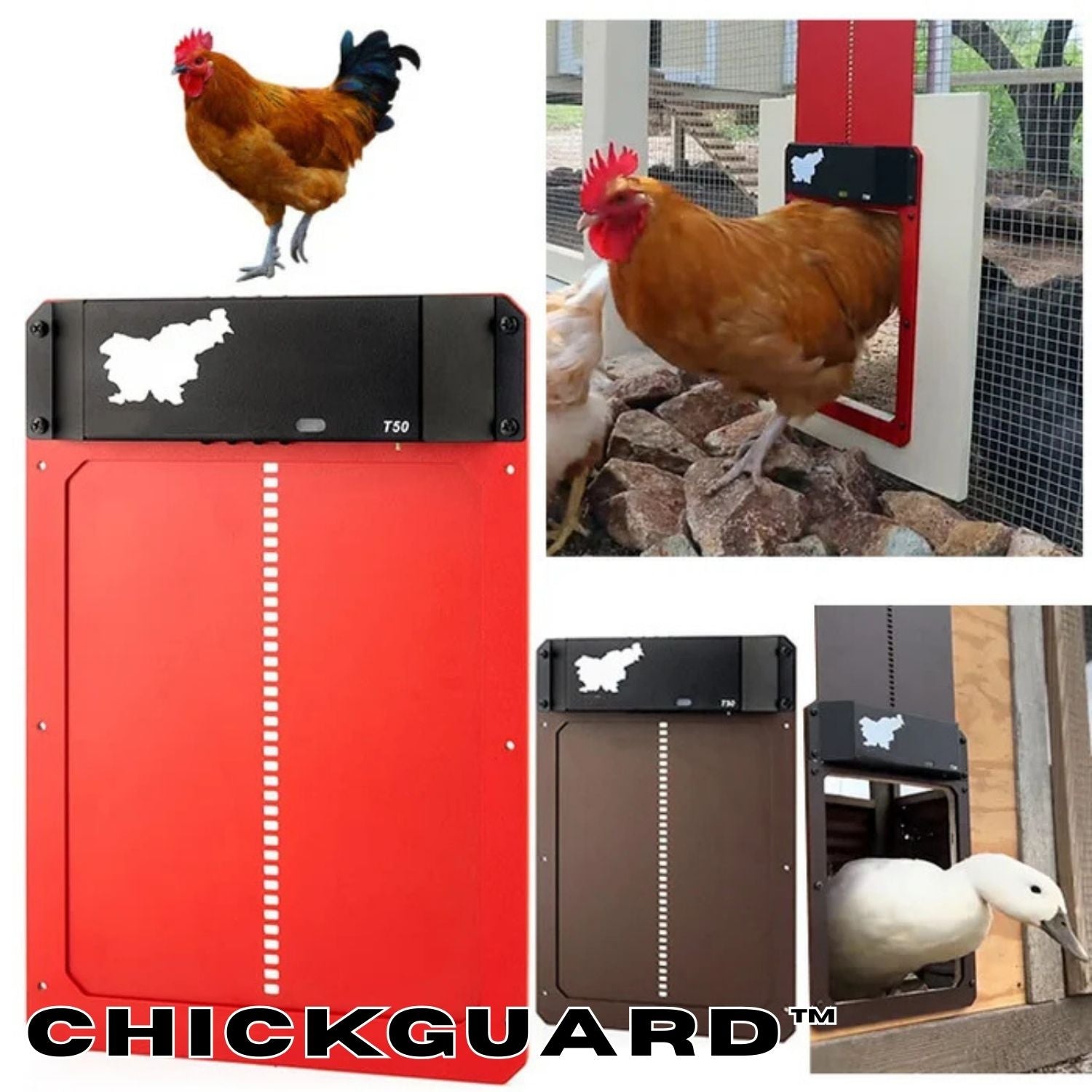 ChickGuard™ - Safeguard Your Chickens With This Automated Door Security