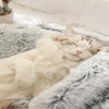 SnugPaw™ - Every dog and cat deserves to lie here