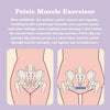 PelviFit™ - Firm Hips, Slim Legs, And A Strong Pelvic Floor!