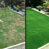 EcoLawn™ - Simple, Green Lawn