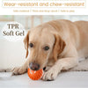 1+1 FREE | PawsPlay™ Interactive Fun For Happy Dogs!