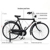 Vintage Bicycle Model - Limited Edition™ - Bring Nostalgia and Adventure Home