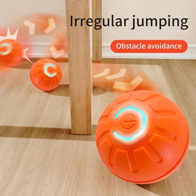 1+1 FREE | PawsPlay™ Interactive Fun For Happy Dogs!