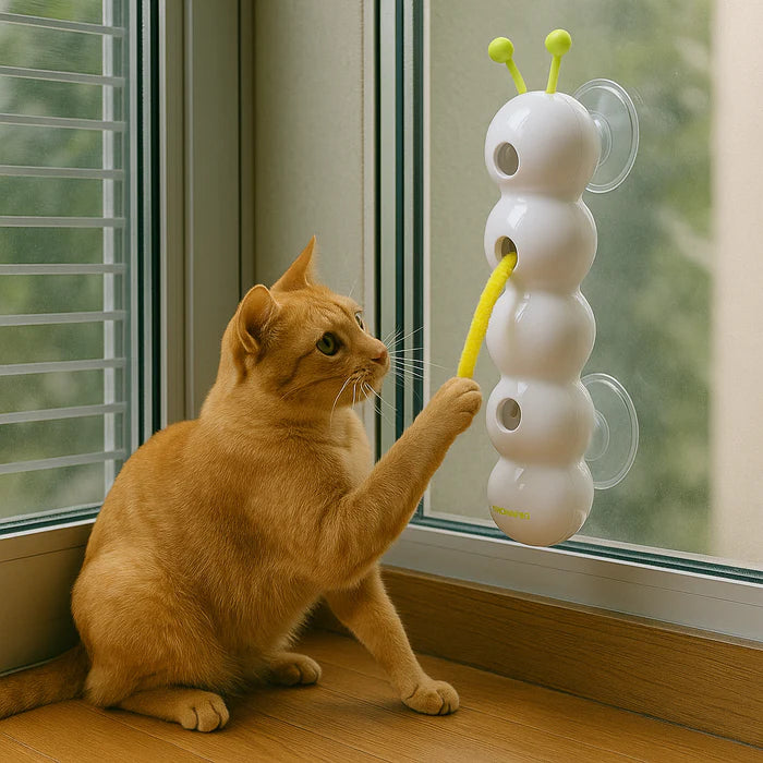 ThrillPlay™ – Ignite Your Cat's Wild Instincts for Endless Energy and Fun