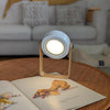 VivaLux™ — Light that adapts to every moment
