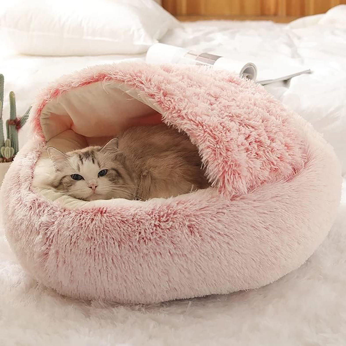 SnugPaw™ - Every dog and cat deserves to lie here