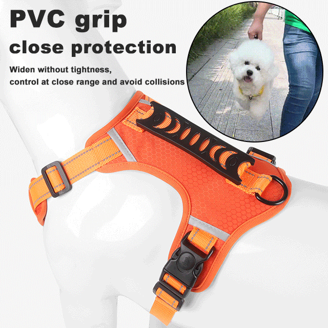 PawGuard™ - Dog Carrier With Leash